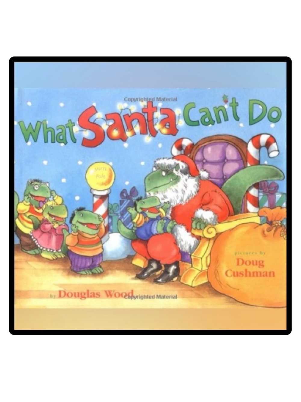 BUNDLE & SAVE🎄 What Santa Can't Do Children's Book by Douglas Wood